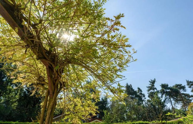 Bungalow in Veluwe Nature Park Retreat - Photo 41