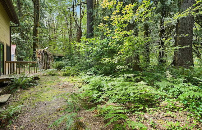 Chalet Vino Rosso - Foto 37