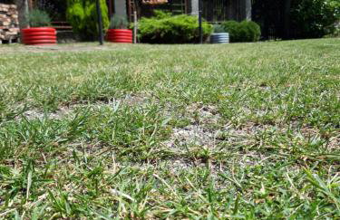 Hacienda Avoxa - Foto 52