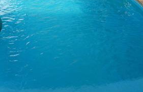 Recanto da Floresta - Photo 36