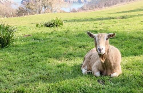 Robin Cottage - Foto 13