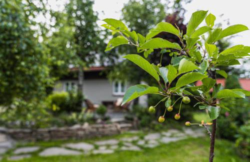 Dom nad Potokiem z sauną - Foto 45