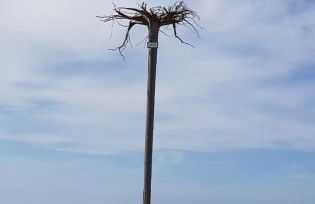 Ferienwohnung Tannenballett im Schwarzwald - Foto 52