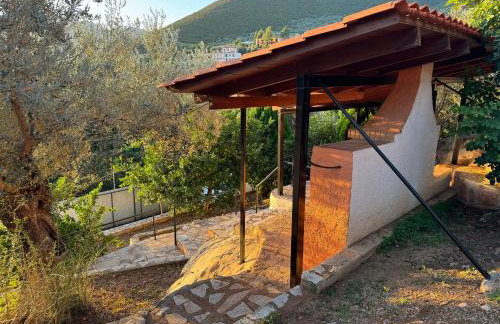 Olive Hill - Foto 25