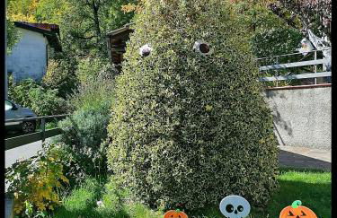 Appartamento La Foresta Abetone - Foto 31