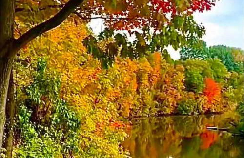 Charming Home on Esopus Creek - Foto 47