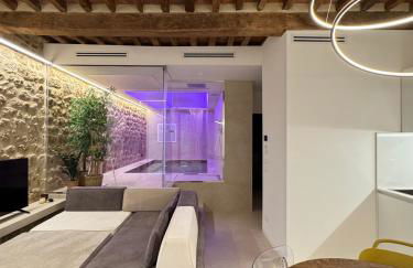 Loft SPA Massa Marittima - Foto 22