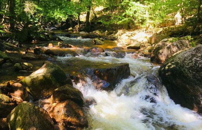 Villa _master Suite Comfortable Vacation Home - Foto 9