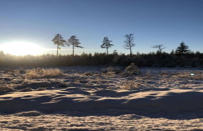 Ski, Sauna, and Scandinavian Serenity Chalet - Foto 25