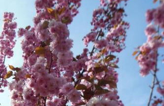 Holiday Home mit Garten und Stellplatz by Interhome - Foto 24