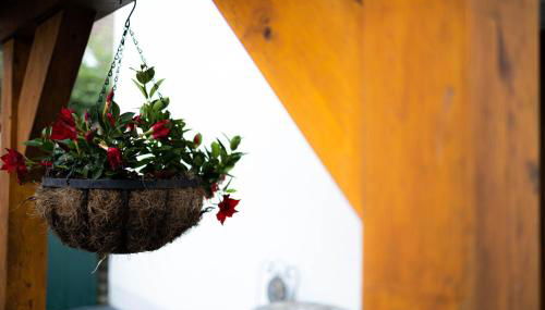 Anca's Haus - Foto 5