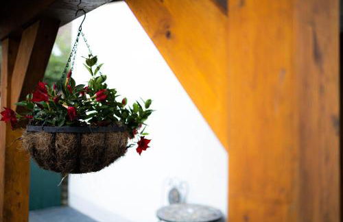 Anca's Haus - Foto 5