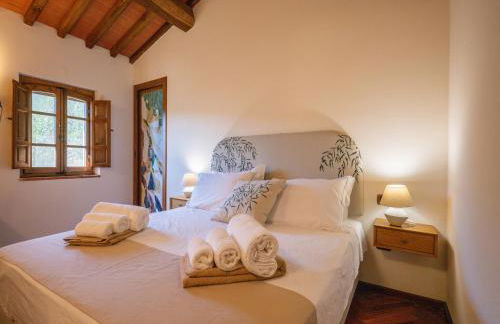 Villa in Tuscany with Pool and Olive Grove - Photo 5