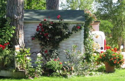 GITES - Mas Saint-Louis - Piscine chauffée - Foto 17