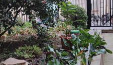 Studio COSY et SPACIEUX AVEC EMPLACEMENT IDEAL - Foto 2, Garden