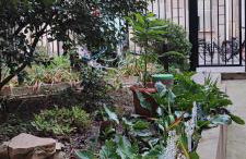 Studio COSY et SPACIEUX AVEC EMPLACEMENT IDEAL - Foto 2