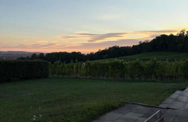 Ferienwohnung auf dem Weingut am Klotz - Foto 7