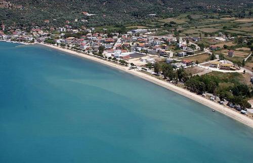 Sunny Garden - Foto 24