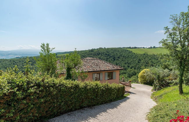 Dalmanuta 8 in Collelungo - Foto 42