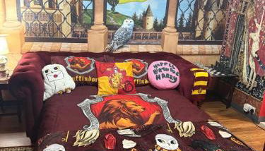 Gryffindor Common Room- Warner Bros Studios & London - Foto 3