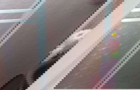 Room-comfortable inn Green Sea Villa Hel - Foto 13