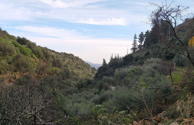 Villa Kastania - Foto 43