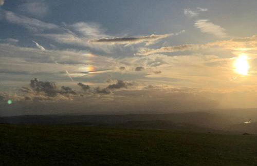 Pellinger-Hof - Foto 42