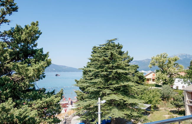 Sea star Danica - Foto 54