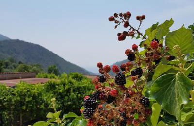 Villa Inn Costa - Foto 63