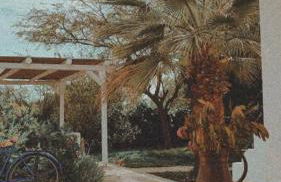 Olive Grove Soulis Family Estate - Foto 19