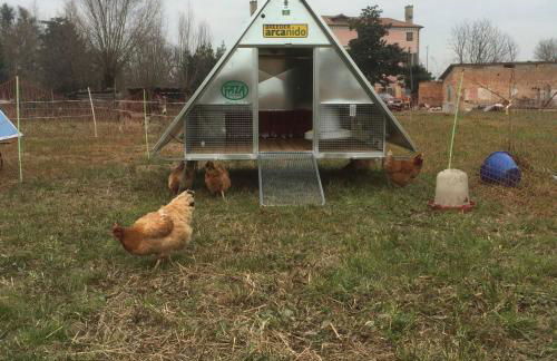 Pecore Ribelli - Photo 34