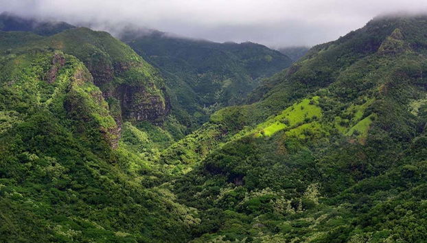 Kauai Day Trip - Photo 5