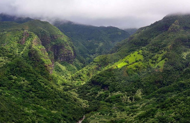 Kauai Day Trip - Photo 5