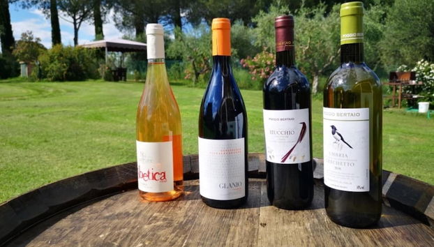 Mustard apt With Shared Pool - Foto 3, Habitación