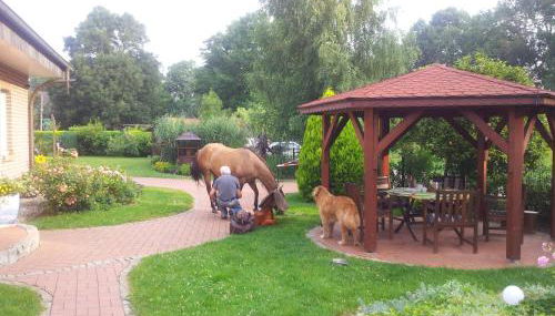 Doppelzimmer im Spreewald - Foto 2, Garden