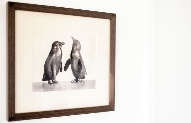 Island Vista - Foto 23