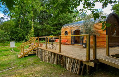 Woodland Lodge Aberporth - Foto 1