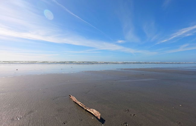 Carters Beach Holiday Studios - Foto 24