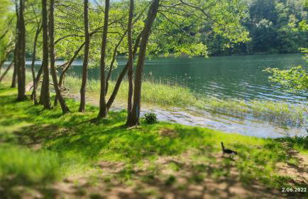 Piotiwo D1 - Foto 15