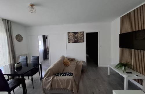 Grand 3 Bedroom Apartment Dijon - Foto 13