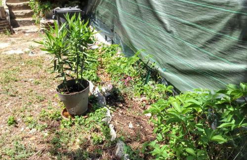 Maison de charme à Vachères avec jardin et vue montagne - Foto 28
