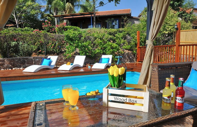 The Golan Cabin - Photo 1