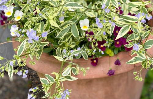 Gronocottage - Foto 41