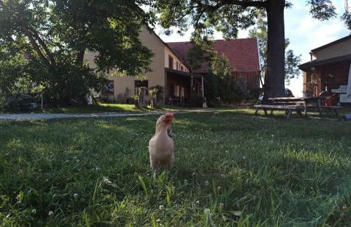 Wunderschöne 3-Zimmerwohnung auf dem Bauernhof - Foto 26