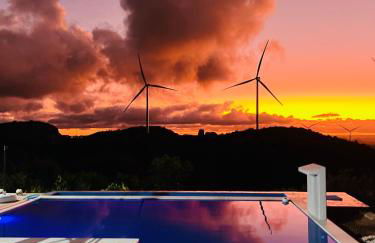 Margarida 02 - Foto 9