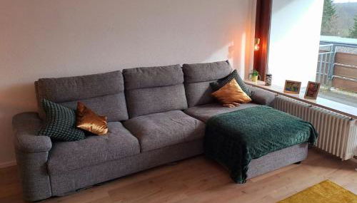 Schwarzwald-Traum mit Pool und Sauna - Foto 5