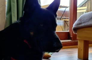 Hotel Reiterhof-Altmühlsee - Foto 17