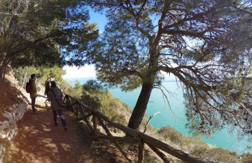 Camping Apartment Vignanotica - Foto 16