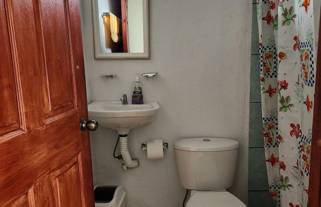 Selvática del Toro - Foto 32