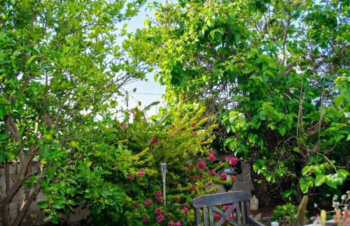 Cosy House in La Sabinita with Mountain View - Foto 21